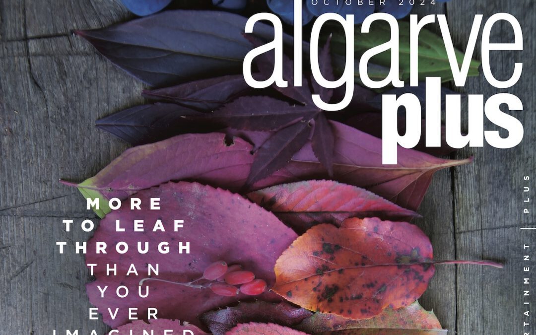 SAL SOL SUL featured again in Algarve Plus’ October issue